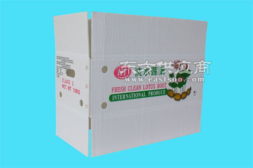 广州市钙塑蔬菜箱厂家与香港钙塑蔬菜箱 飞燕塑胶制品图片与塑胶原料解析